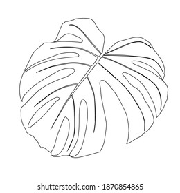 Monstera Deliciosa plant leaf from tropical forests isolated. Vector for greeting cards, flyers, invitations, web design