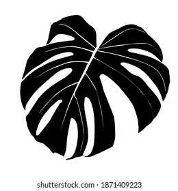 Monstera Deliciosa plant leaf from tropical forests isolated. Vector for greeting cards, flyers, invitations, web design