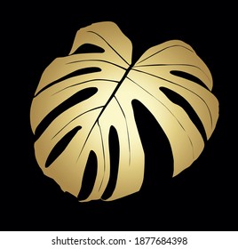 Monstera Deliciosa plant leaf from tropical forests isolated. Vector for greeting cards, flyers, invitations, web design