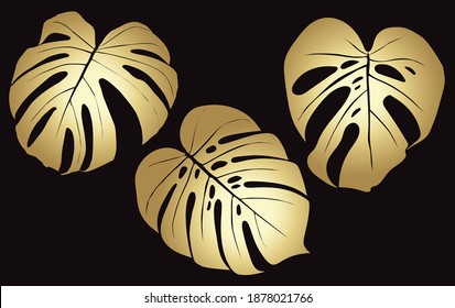 Monstera Deliciosa plant leaf from tropical forests isolated. Vector for greeting cards, flyers, invitations, web design