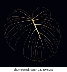 Monstera Deliciosa plant leaf from tropical forest , isolated. Vector for greeting cards, flyers, invitations, web design