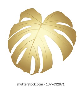 Monstera Deliciosa plant leaf from tropical forests isolated. Vector for greeting cards, flyers, invitations, web design