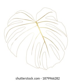 Monstera Deliciosa plant leaf from tropical forests isolated. Vector for greeting cards, flyers, invitations, web design