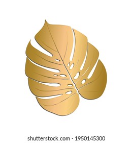 Monstera Deliciosa plant leaf from tropical forests isolated. Vector for greeting cards, flyers, invitations, web design