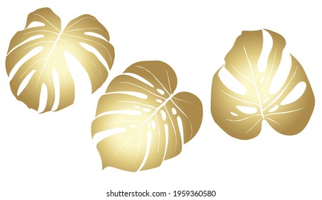 Monstera Deliciosa plant leaf from tropical forests isolated. Vector for greeting cards, flyers, invitations, web design