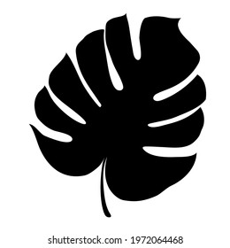 Monstera Deliciosa plant leaf from tropical forests isolated. Vector for greeting cards, flyers, invitations, web design