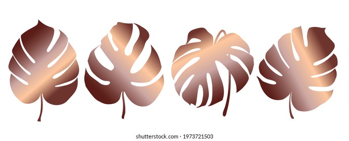Monstera Deliciosa plant leaf from tropical forests isolated. Vector for greeting cards, flyers, invitations, web design