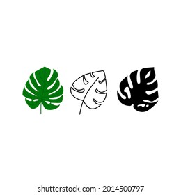 Monstera Deliciosa plant leaf from tropical forests isolated on white background. Can be used for greeting cards, flyers, invitations, web design, to everything. File has clipping path.