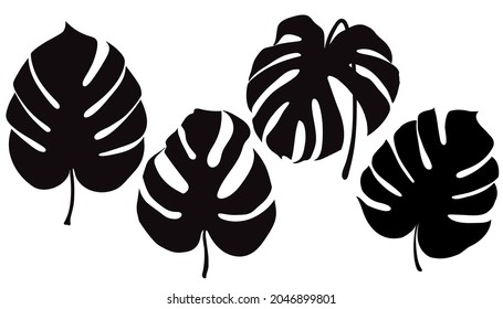 Monstera Deliciosa plant leaf from tropical forests isolated. Vector for greeting cards, flyers, invitations, web design