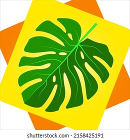 Monstera deliciosa plant leaf from tropical forests isolated on yellow background. Can be used for greeting cards, flyers, invitations, web design, to everything. Monstera leaf vector, flat design.
