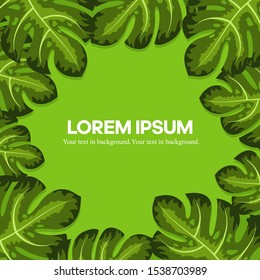 Monstera deliciosa plant leaf. Vector illustration background