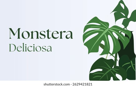 Monstera Deliciosa plant lush, tropical foliage with unique perforated leaves. Perfect for botanical-themed designs, interior decor prints, branding projects, packaging, websites, social media graphic