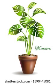 Monstera Deliciosa Plant In Pot. Palm Tree. Houseplant. Vector Illustration.