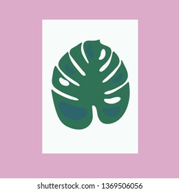 Monstera deliciosa. Stock vector illustration.