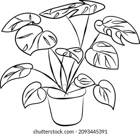 Monstera Deliciosa, The Swiss Cheese Plant In Pot Vector Hand Drawn One Line