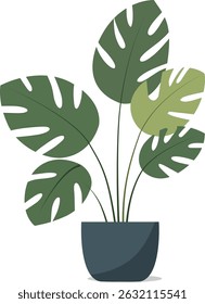 Monstera Deliciosa Vector Illustration – Beautiful Indoor Plant for Home Décor and Natural Air Purification, Stylish and Lush Greenery.