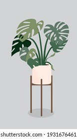 Monstera drawing. Plant drawing. Monstera vector.