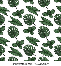 Monstera, fittonia and alocasia leaves with outline seamless pattern on white background.