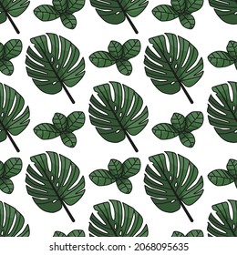 Monstera and fittonia leaves with outline seamless pattern on white background.