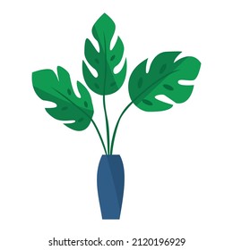 Monstera flower in a pot. Flat style vector illustration.