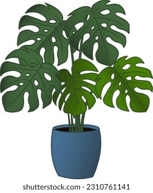 Monstera in a Flower Pot. Tropical Plant Vector Illustration for Office or Home