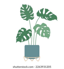 Monstera in flower pots on stands.Vector graphics.