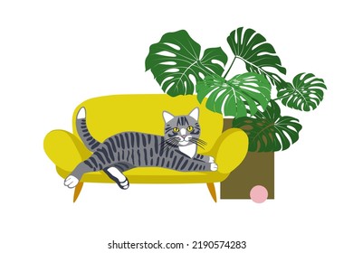 Monstera in a flowerpot, ball and pet sofa bed with a lying kitten.  Color vector illustration of comfortable furniture for pets.