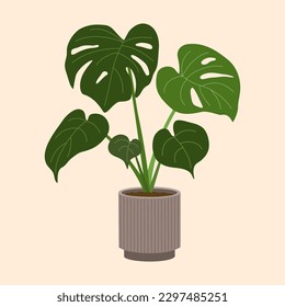 Monstera in flowerpot. Tropical houseplant for interior decoration. Hand drawn vector illustration isolated on light background. Modern flat cartoon style.