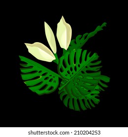 monstera with flowers on a black background. vector 