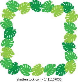 monstera frame background material tropical