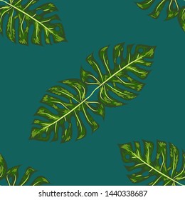 Monstera, green beautiful detailed leaves assembled into a seamless pattern.