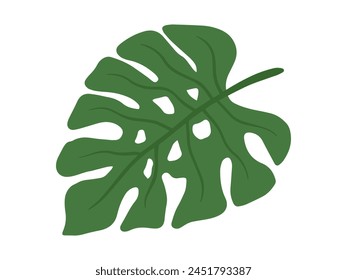 Monstera Green Leaf Background Illustration