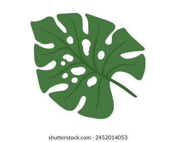 Monstera Green Leaf Background Illustration