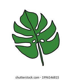 Monstera green leaf doodle hand drawn illustration. Cute vector design element for kids book, decor of kitchen interior or textile or apparel.