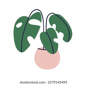 Monstera, green leaf plant in pot. Houseplant with big large leaves growing in planter. Fresh greenery, indoor decoration, natural vegetation. Flat vector illustration isolated on white background