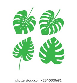 Monstera-grünes Blatt-Set-Symbol