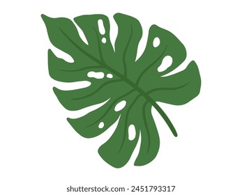 Monstera Green Leaves Background Illustration