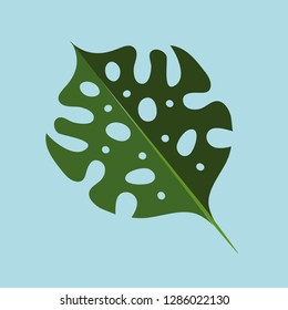 Monstera green leaves, jungle background, vector hand drawn watercolor illustration, realistic leaf in forest