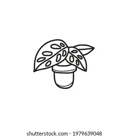Monstera hand drawing.Tropical monstera leaves on pot. Vector illustration. simple vector.