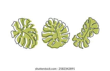 Monstera hand drawn leaf set. Tropical modern silhouette. Summer design 