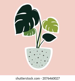 Monstera. House plant in the pots. Trendy home decor with plants. Vector illustration. Sticker.