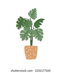 Monstera houseplant cartoon illustration isolated on white background. Scandinavian cozy home decor