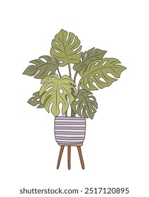 Monstera Houseplant colored outline drawing. Indoor exotic flowers in pots line art. Indoor plant for home interior plans, design. Vector illustration isolated on white background.