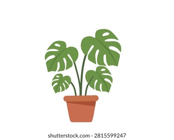 Monstera houseplant flat icon isolated on white background. Tropical indoor plant illustration for home decoration, interior design, gardening, and botanical themes