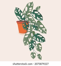 Monstera houseplant illustration. Scandinavian cozy home decor. Flat vector cartoon icon illustration of house plant isolated