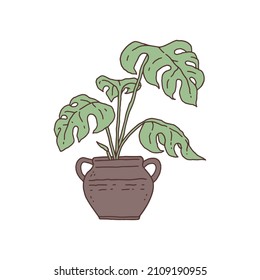 monstera houseplant. Indoor potted plant vector outline doodle illustration.