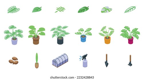 Monstera icons set isometric vector. Palm leaf. Exotic tree