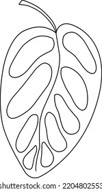 monstera illustration. Hand-drawn doodles illustration. Line art. Icon