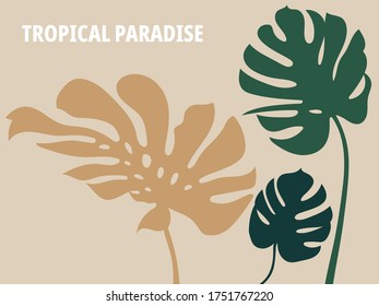 Monstera large green jungle leaf unique tropical