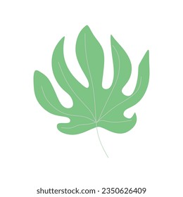 Monstera leaf abstract vector element 